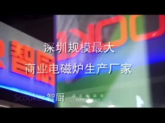 Введение компании